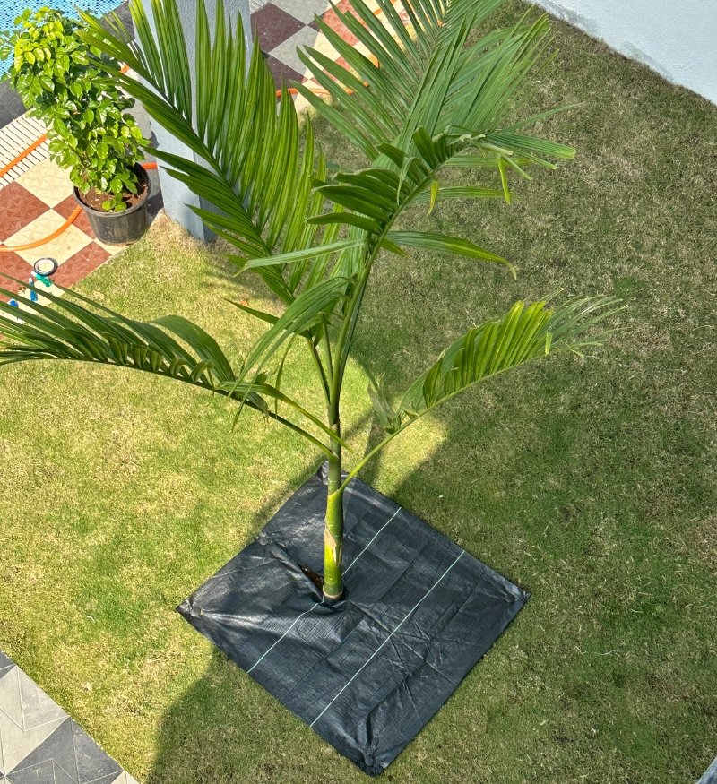 weed mat mira Agrotex-31