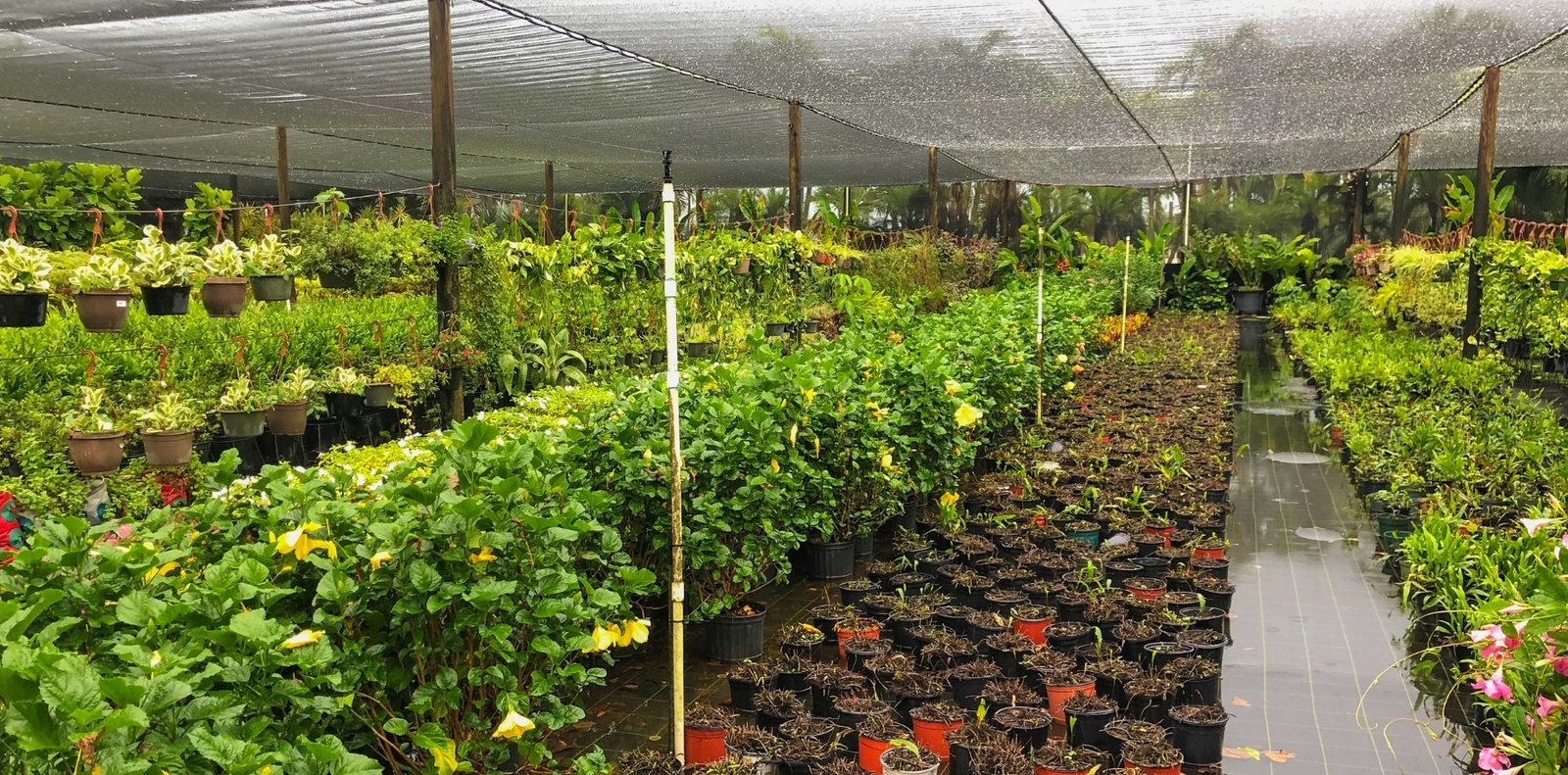 HDPE woven weed control mat installed in plant nursery for clean and organized ground management