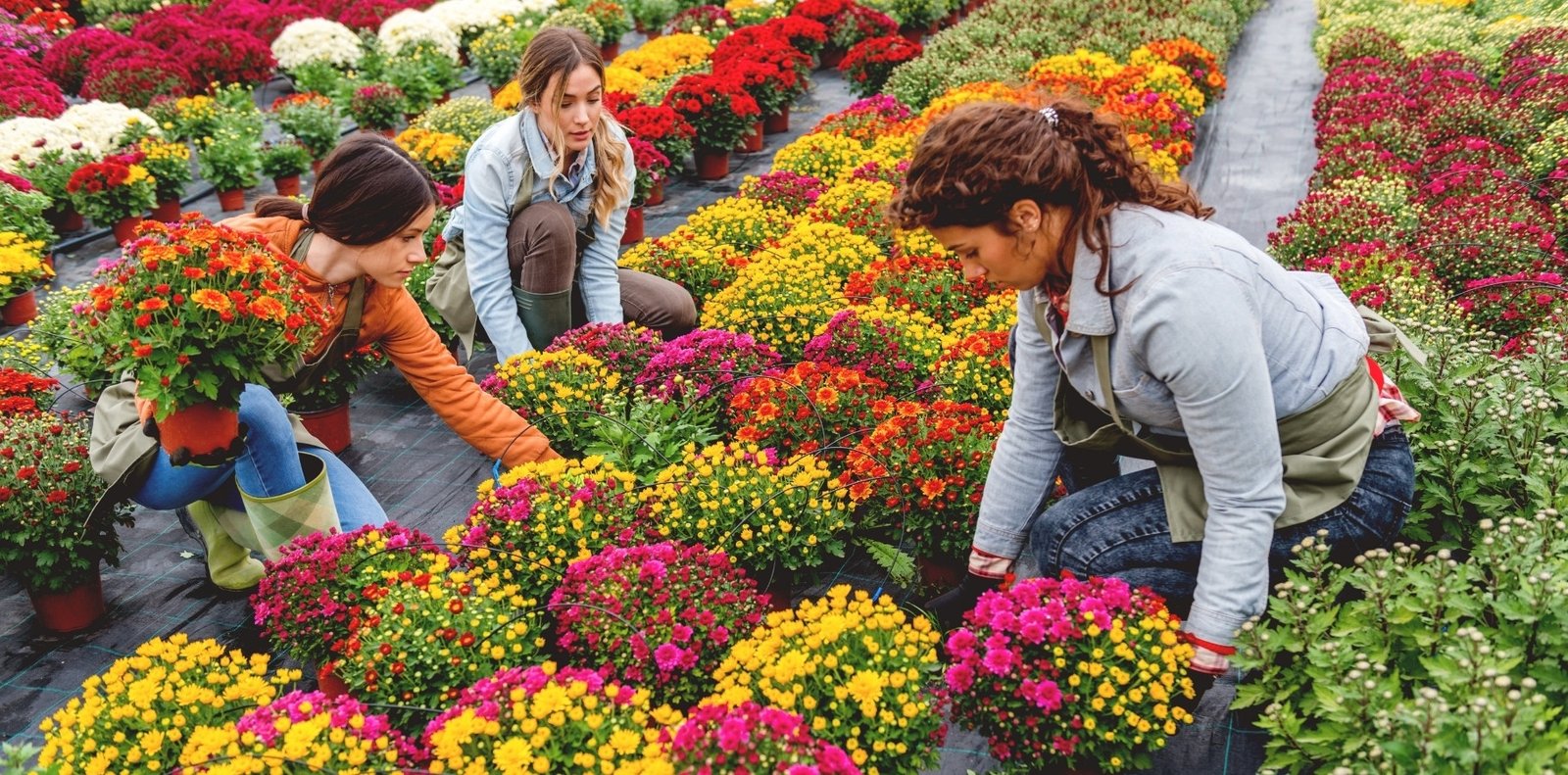 Flower nursery flooring covered with HDPE woven weed control mat for effective weed suppression and clean ground management