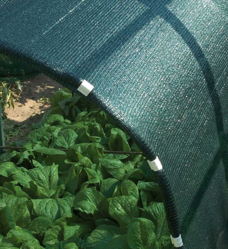 shade net mira Agrotex-2