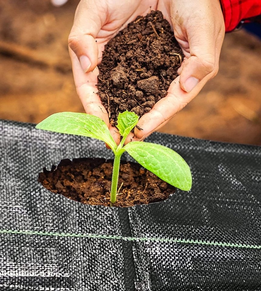 HDPE woven weed mat ground cover fabric installed in agricultural field for weed control and soil protection